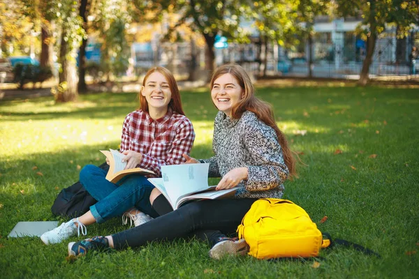 personal statement help dubai